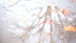 Walking In Puddles Stock Footage
