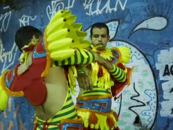 Rio Carnival 2014 Stock Footage