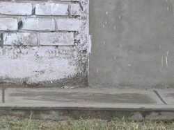 Professional Man Walks past on the Sidewalk Stock Footage