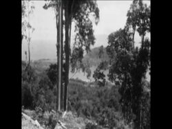 CAN 223 BACKGROUND REPORT ON LIFE IN NETHERLANDS NEW GUINEA News Clip