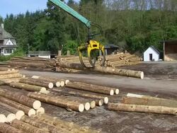 MS PAN Log moving through log lift crane in lumberyard at saw mill / Schweich, Rhineland Palatinate, Germany Stock Footage