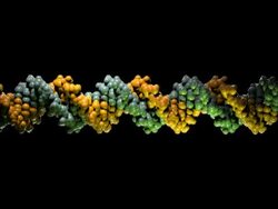 DNA Molecule Model - NTSC Stock Footage