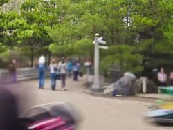 Oregon Park Stock Footage