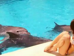 Dolphin and girl Stock Footage