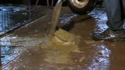 Cow urine marketed as virtually cost free organic fertiliser and pesticide Instructional Video