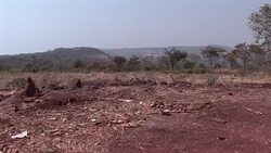 VOICED : Villagers in Zimbabwe skip meals to save scant food News Clip