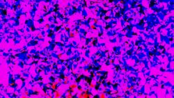 series transcendental fields : from among, colorful (TRANSITION) Stock Footage