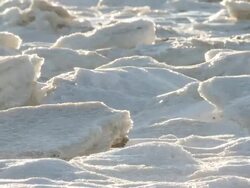 MS Blowing snow on shore of hudson bay / Churchill, Manitoba, Canada Stock Footage