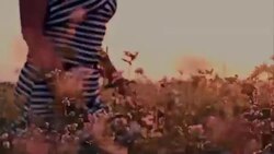 Woman walking through buckwheat Stock Footage