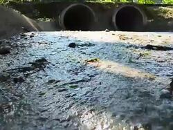 Dolly Shot: Polluted Water from the Sewer Stock Footage