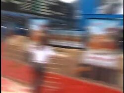 'Chicken Run' Premiere Stock Footage