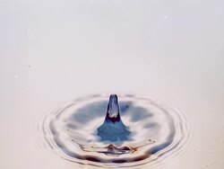 MS SLO MO Drop of Water falling into Water / Vieux Pont en Auge, Normandy, France  Stock Footage