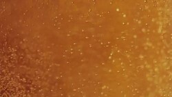 Beer Bubbles - High Speed Video Stock Footage