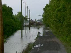 WS View of flooded tree lined at gravel road / New Orleans, Louisiana, United States Stock Footage
