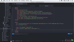 Learning Dart (Video 25) Instructional Video