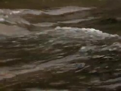  MS Shot of moving water stream / Sedona, Arizona, United States Stock Footage