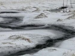 MS Shot of Small thaw stream going down through snowfield / Iceland  Stock Footage