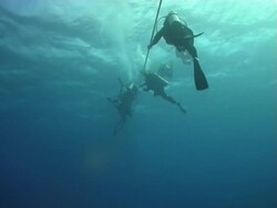 Scuba Divers Stock Footage