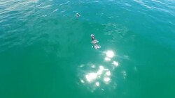 Chasing the waves Stock Footage