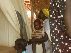 South Sudan Archival Footage - Dec 2010 Stock Footage