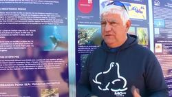 Orphaned seal pup being prepared for release News Clip