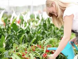 HD: Cheerful Female Florist Watering Flowers. Stock Footage