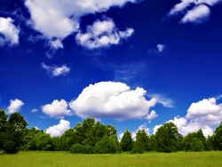 Nature, Temperate climate Stock Footage