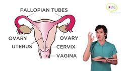 What is Reproduction? Part 1 Instructional Video
