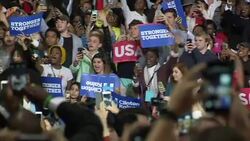 Hillary Clinton Looks To Secure Female Vote With Michelle Obama's Help News Clip