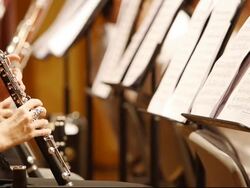 HD:Musician blowing clarinet. Stock Footage