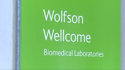 A scientist working in the Wolfson Wellcome Biomedical Laboratories at the National History Museum News Clip
