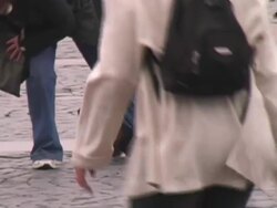 Bear on Leash, Lead, Leach In Public Square Stock Footage