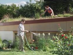 WS Woman with baby planting on green roof while man waters plants in garden below / Seattle, Washington, USA Stock Footage