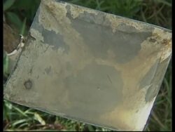 BRAZIL: COUNTRY IN THE GRIP OF A DENGUE FEVER EPIDEMIC News Clip