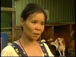 Owners leave pets due to financial crisis News Clip