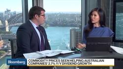 Australia's Biggest Miners Expected to Boost Dividend Payouts News Clip