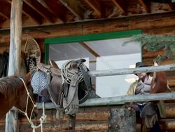 Cowboy plays his guitar on porch of the cabin Stock Footage