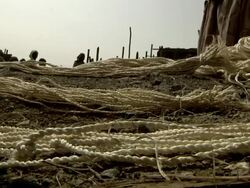 Ropes being sold at camel market Stock Footage
