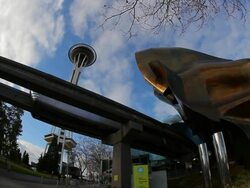 Static view looking up toward the Space Needle. Stock Footage