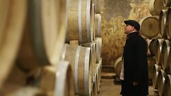 Controlling Wine cellar and barrels Stock Footage