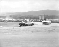 TWELVE HOUR TEAR-UP News Clip