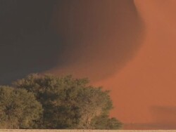 Sand dune and trees, heathaze, Sossusvlei, Namib-Naukluft, Namibia Stock Footage