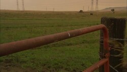 Power lines tower over a farm field enclosed by a barbed wire fence and a metal gate. Stock Footage