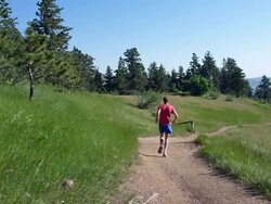 HD video man trail runs Mount Falcon Colorado Rocky mountains Stock Footage