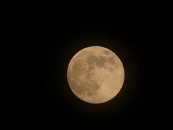 Full Moon Rising Stock Footage