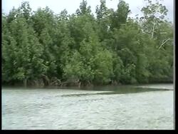 FILE of area where militants reported to have launched new attacks News Clip