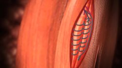 Your Sixth Sense Instructional Video