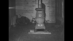 Chimpanzees performing at zoo in Detroit News Clip