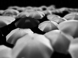 Umbrella, leader, unique, boss, individuality, original, special. Stock Footage