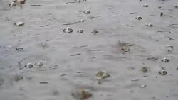 Raining Dropping Stock Footage